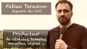 producteur céréales tomates noisettes vignes